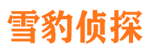 枝江市调查公司